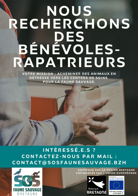 Agrandir l'image (fenêtre modale)