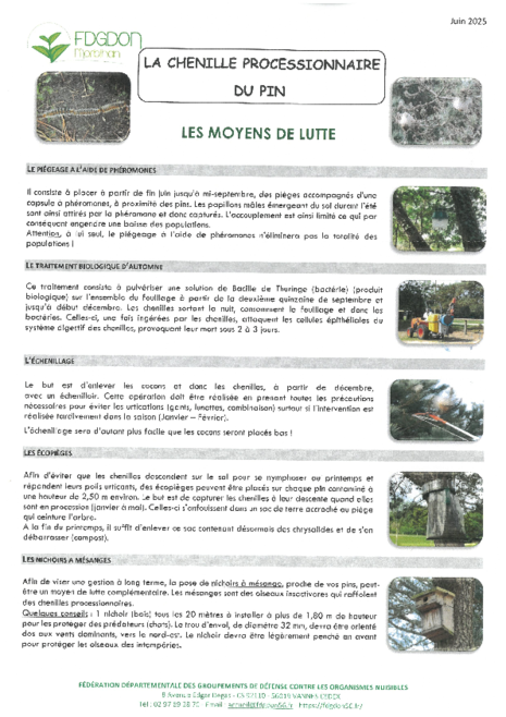 Agrandir l'image (fenêtre modale)