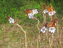 Agrandir l'image (fenêtre modale)